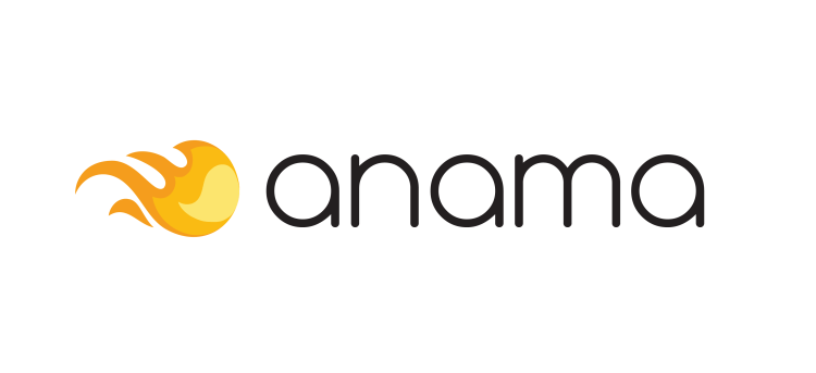 anama infotech